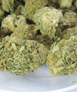 Buy Master Bubba Online