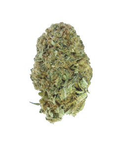 Buy Master Bubba Online
