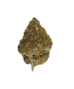 Buy Black Cherry Online