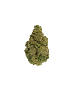 Buy Black Raspberry Online
