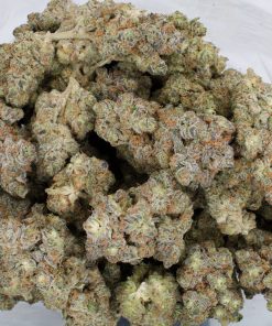 Buy Blue Guava Online