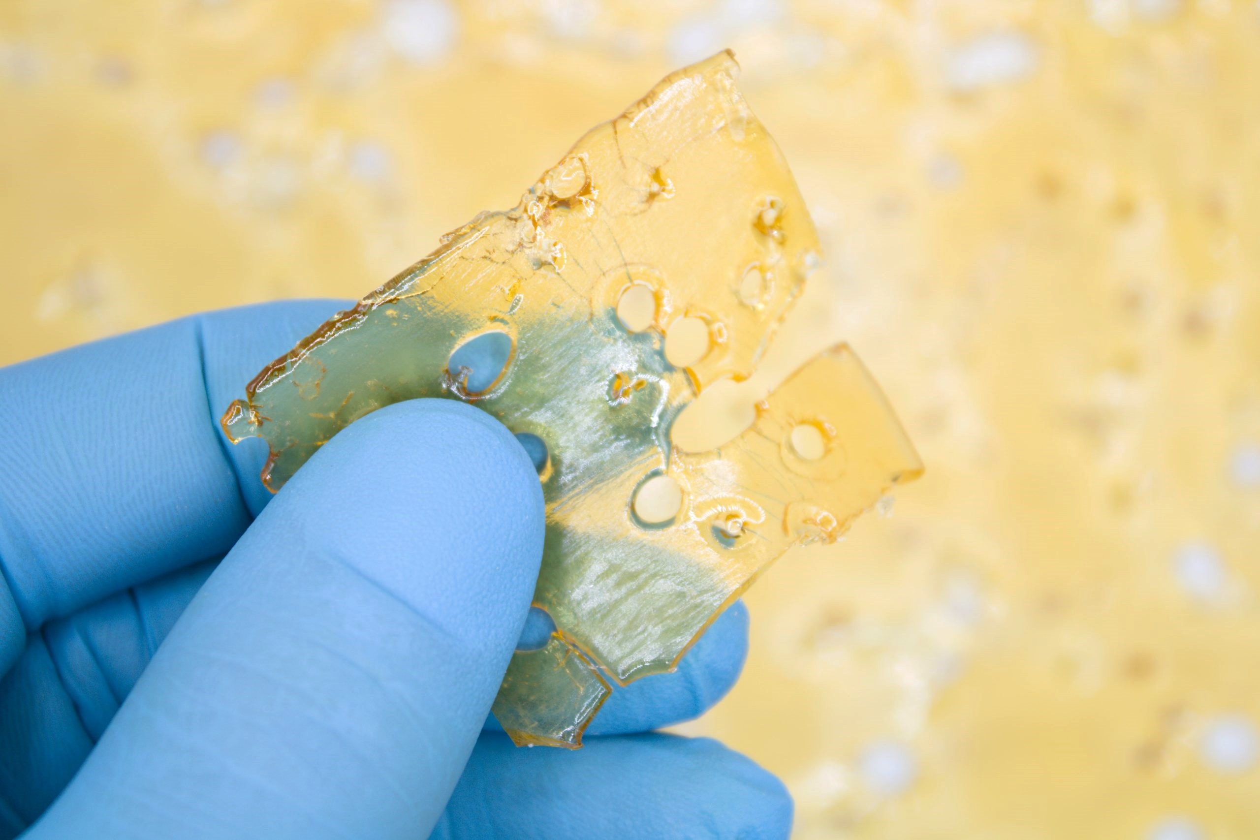 Blueberry Crumble Shatter Concentrates Blueberry Crumble Shatter Concentrates