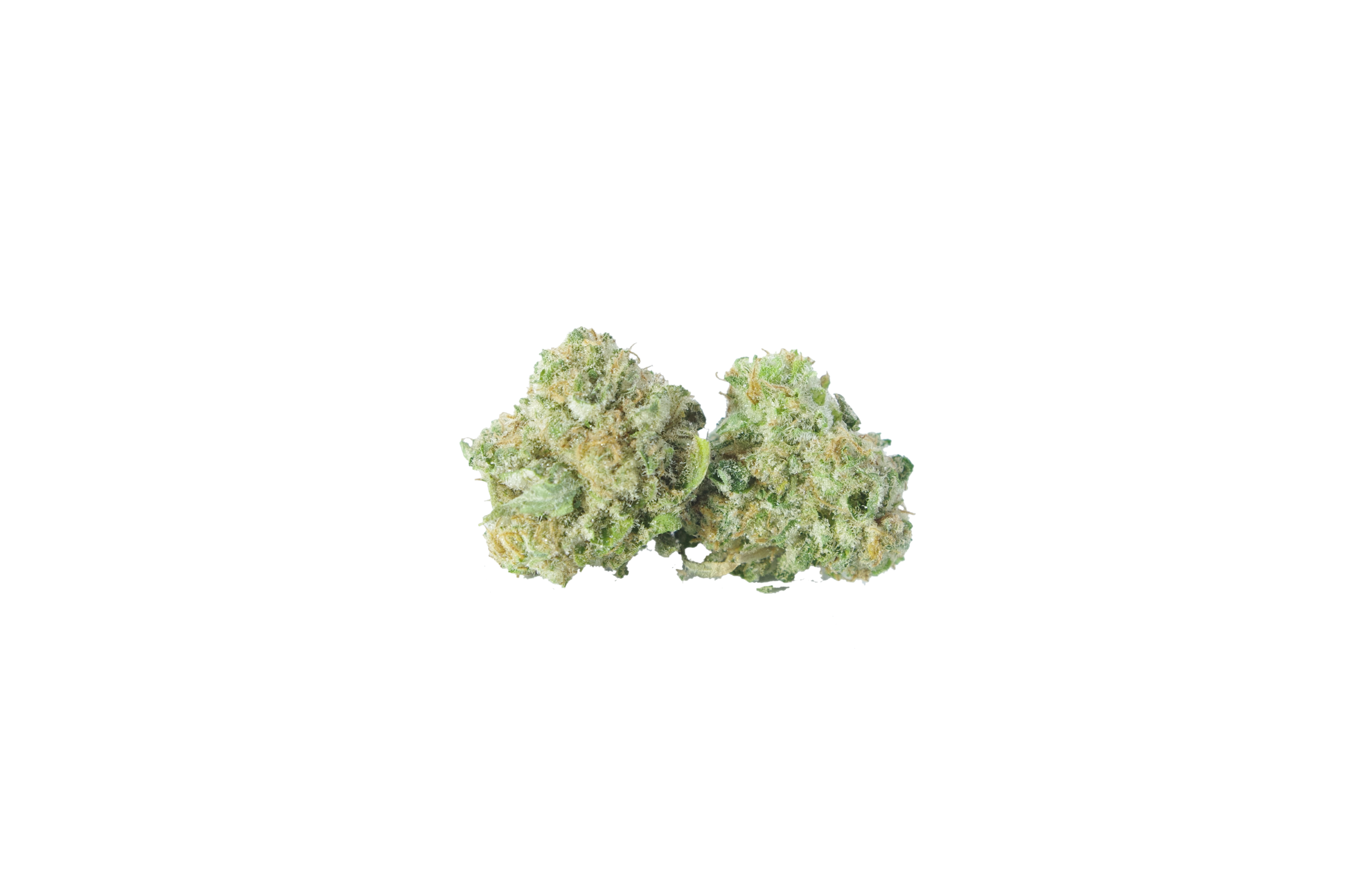 Cherry Haze Smalls (Oz special) All Strains Cherry Haze Smalls (Oz special) All Strains