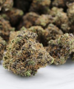 Buy Gelato Cookies Online