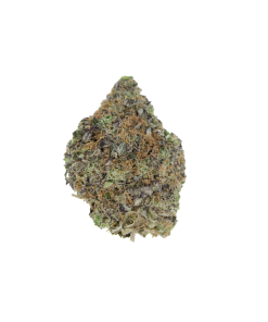 Buy Gelato Cookies Online