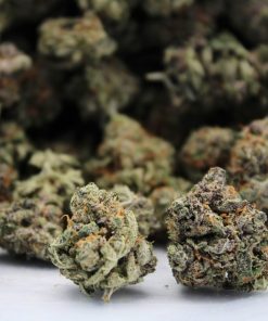 Buy Gelato Smalls Online