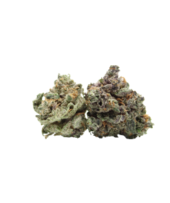 Buy Gelato Smalls Online