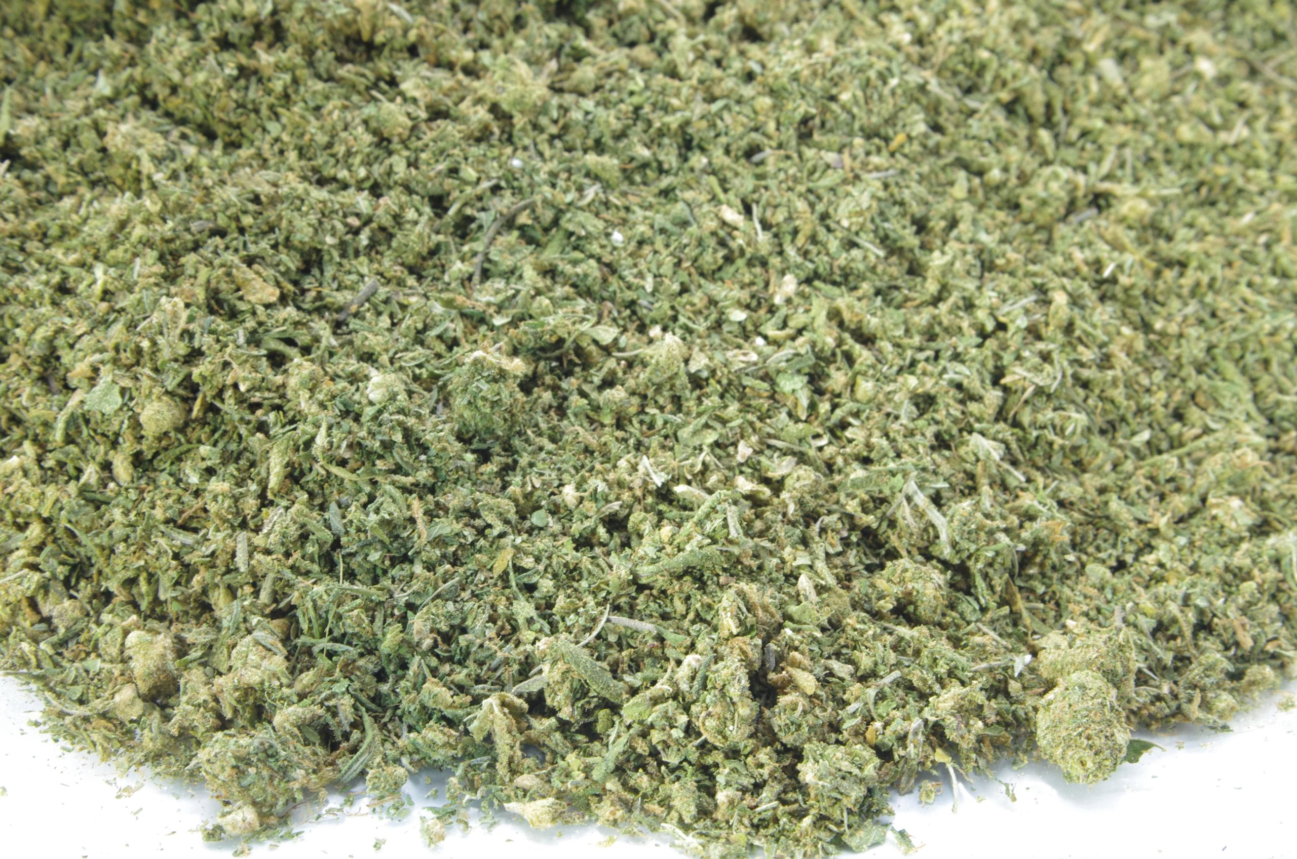 Jungle Cake Shake (Oz special) Hybrid Jungle Cake Shake (Oz special) Hybrid