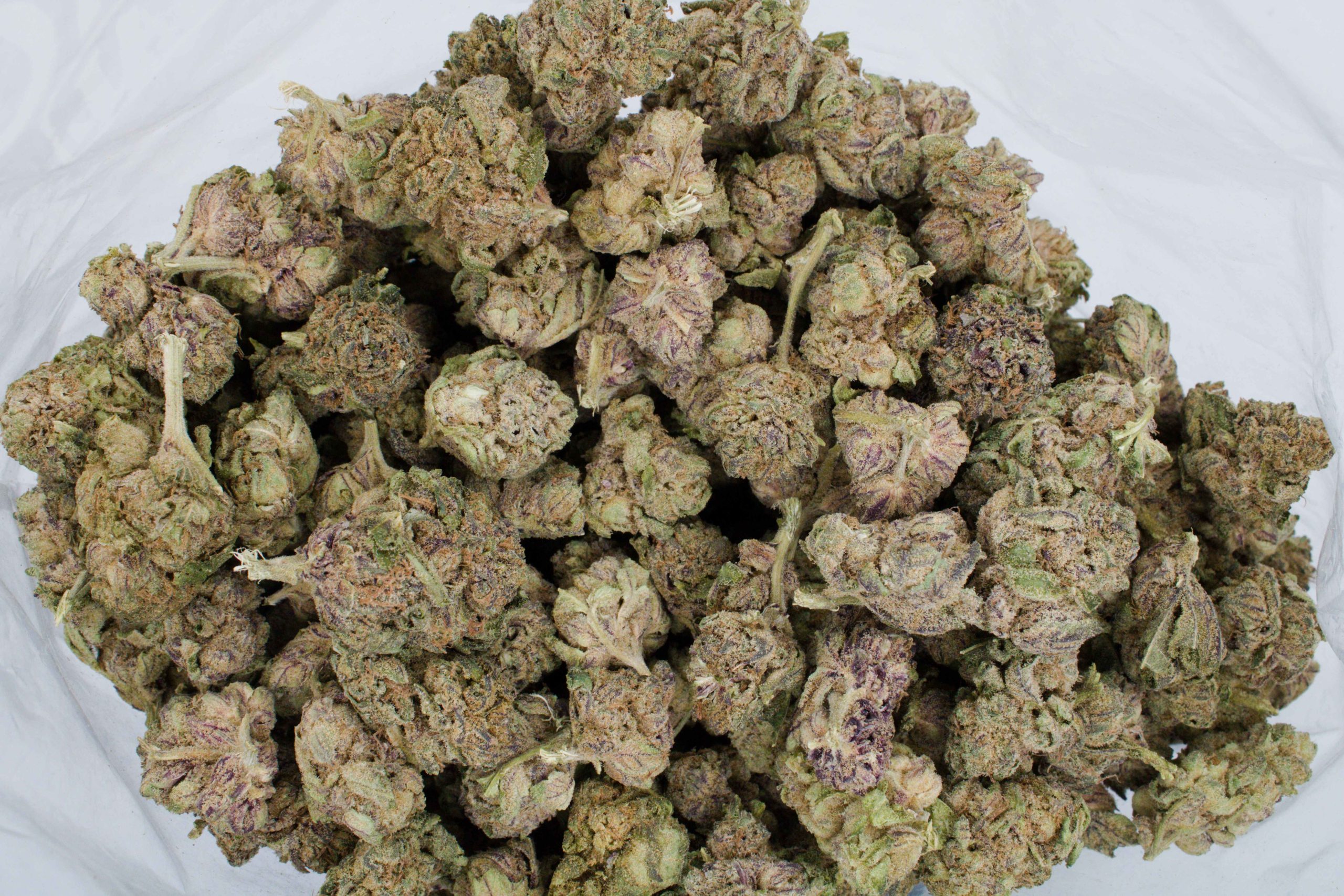 Khalifa Kush (Oz special) Hybrid Cannabis Flower Khalifa Kush (Oz special) Hybrid Cannabis Flower