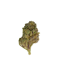 Buy Khalifa Kush Online