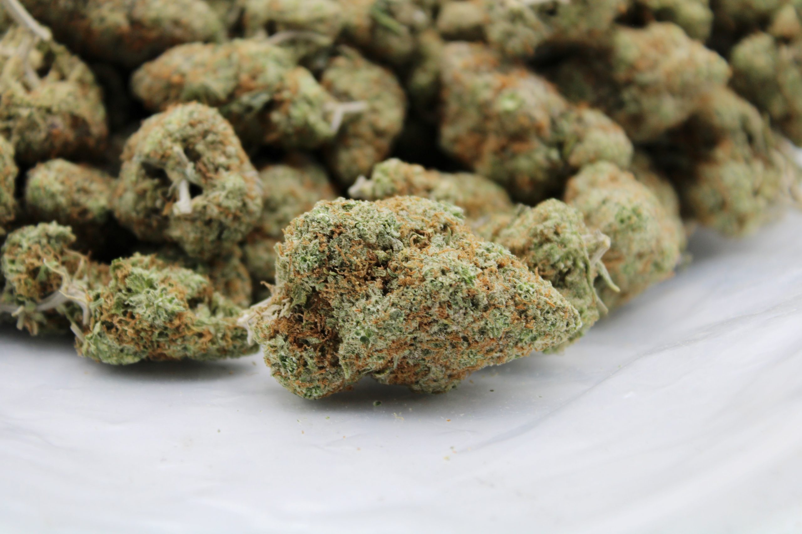 Lemon Kush (Oz Special) Hybrid Lemon Kush (Oz Special) Hybrid