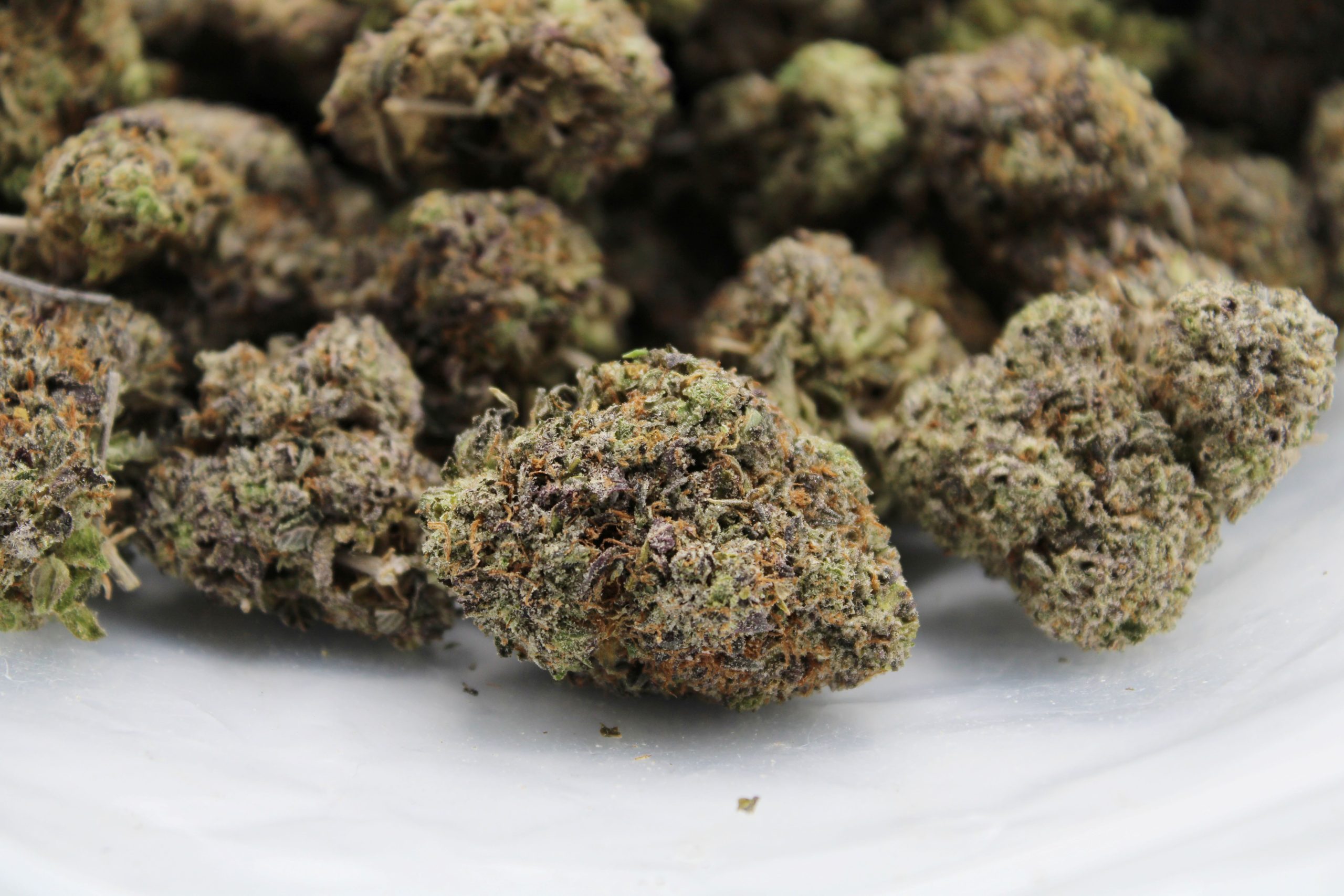 Purple Diesel (Oz special) Indica Purple Diesel (Oz special) Indica