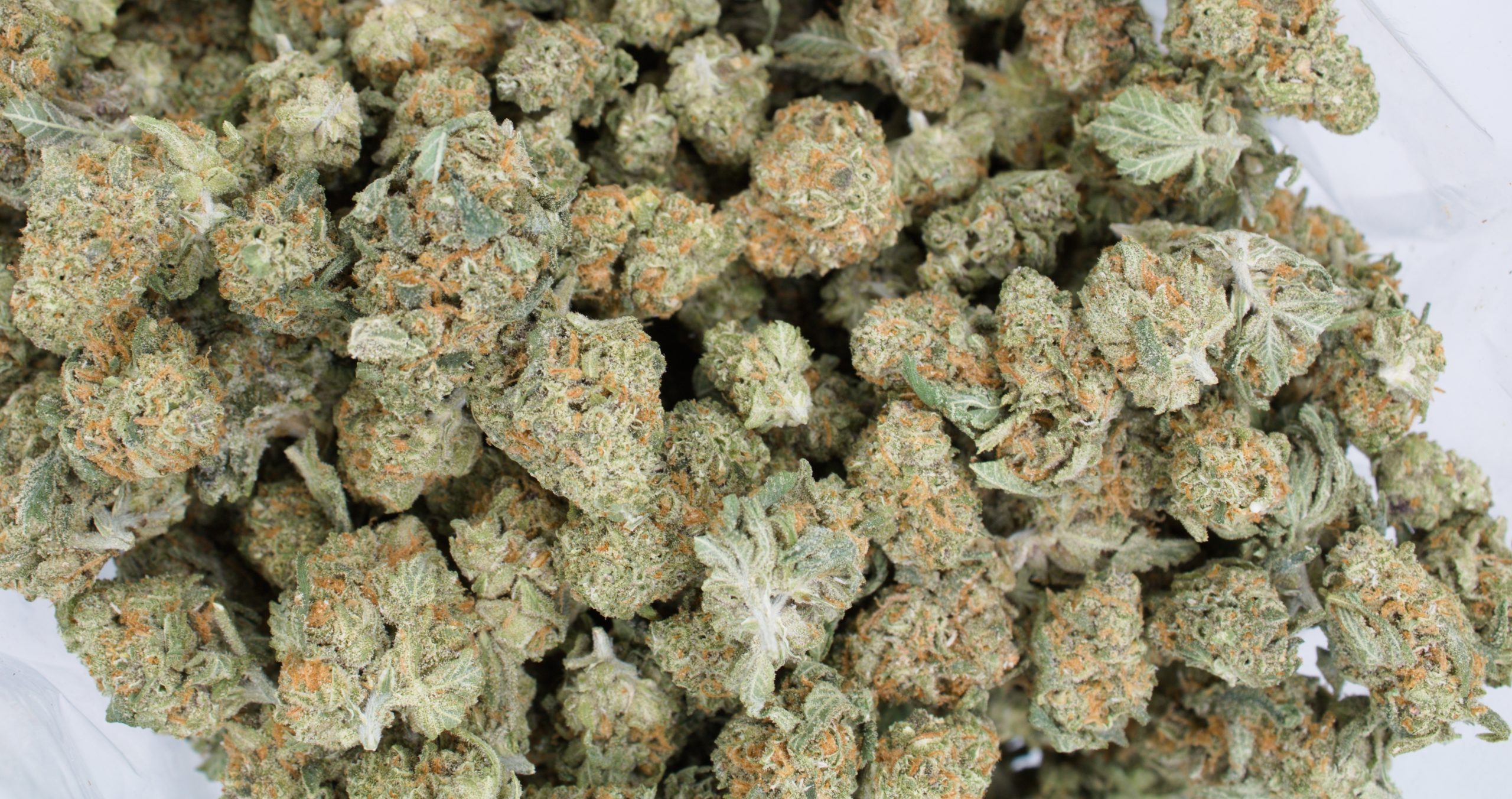 Passionfruit Smalls (Oz special) Sativa Passionfruit Smalls (Oz special) Sativa