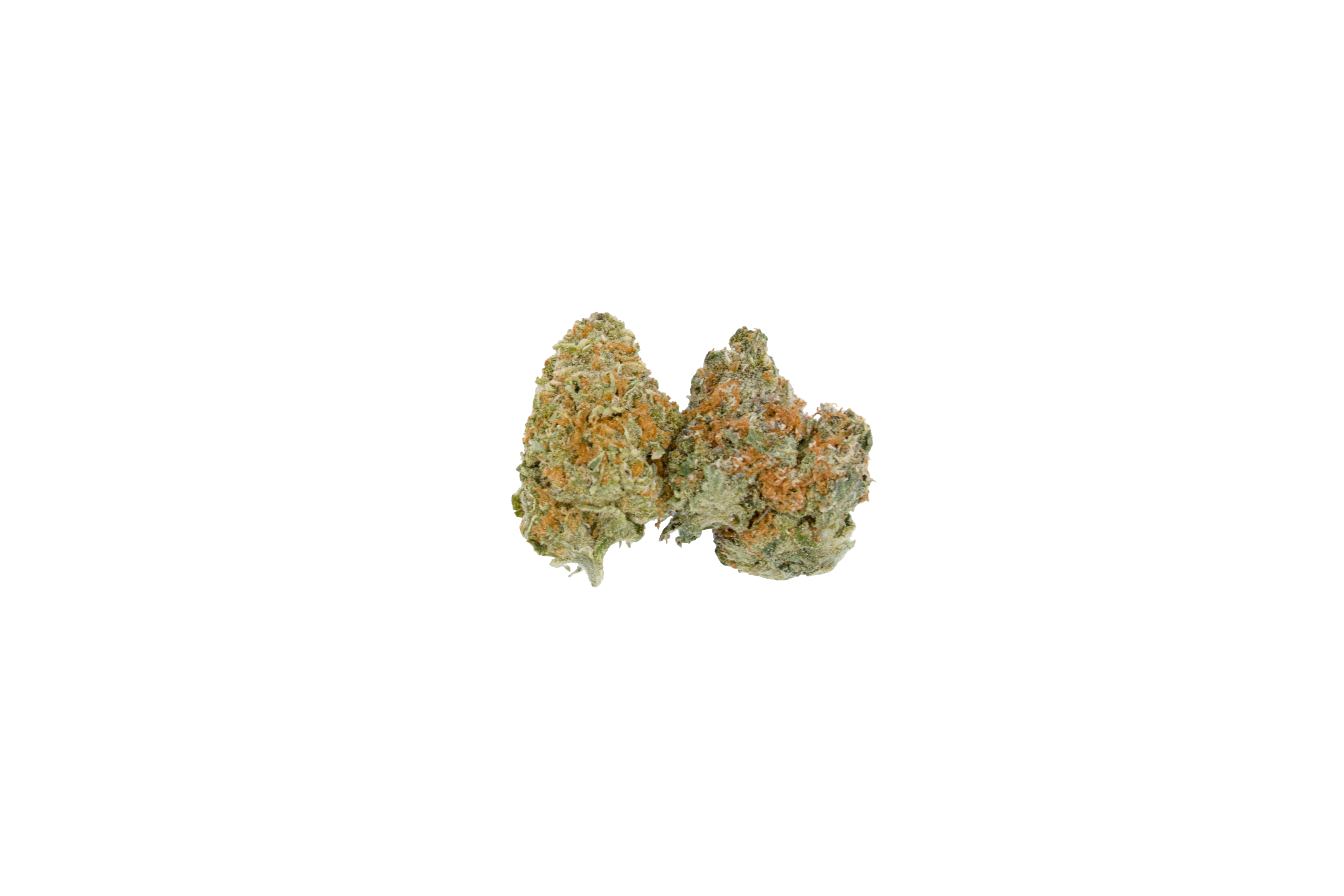 Passionfruit Smalls (Oz special) Sativa Passionfruit Smalls (Oz special) Sativa