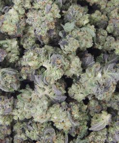 Buy Stardust OG Smalls Online