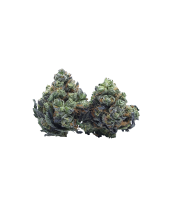 Buy Stardust OG Smalls Online
