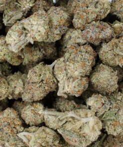 Buy Stardust OG Online