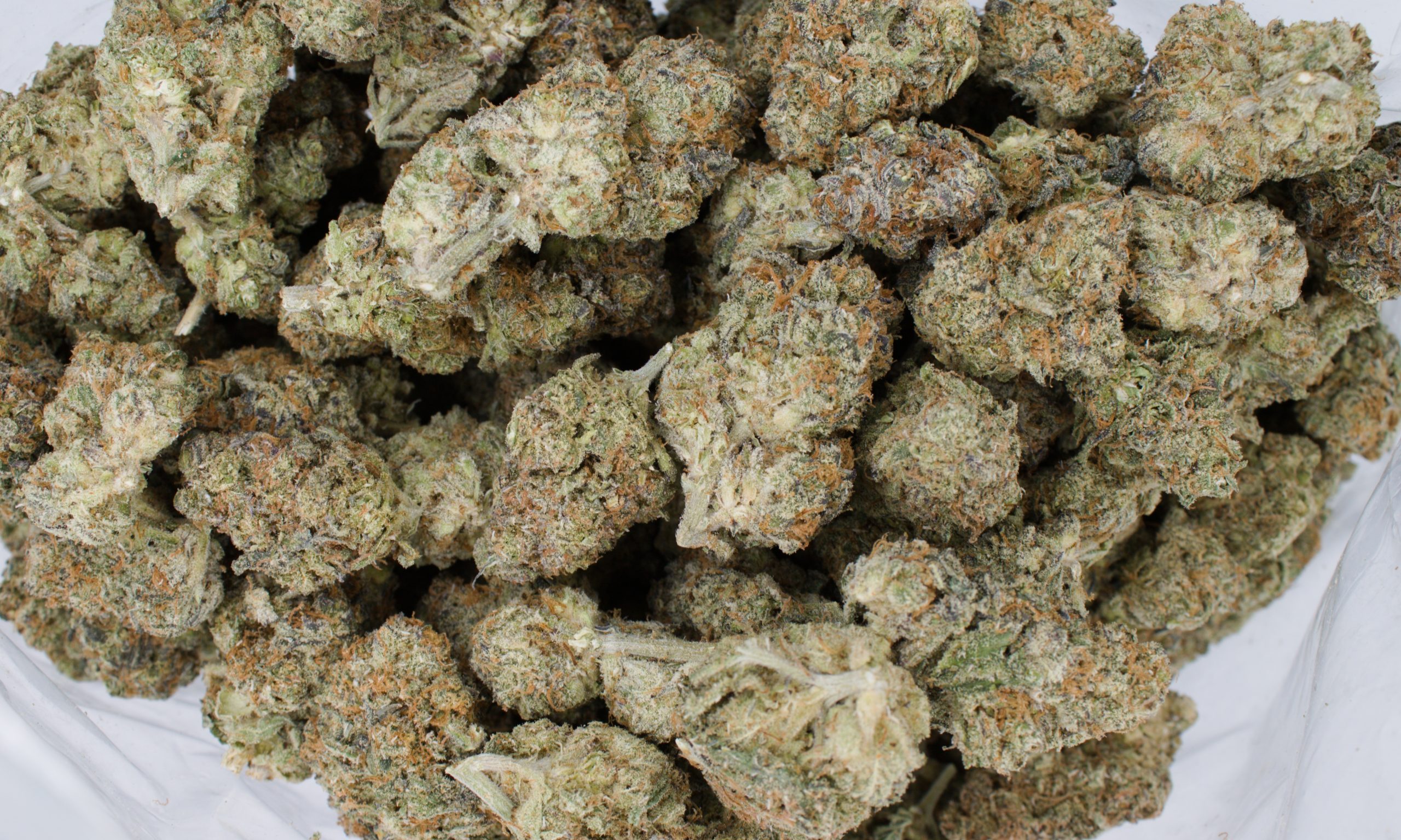 Stardust OG (Oz special) Indica anti-anxiety Stardust OG (Oz special) Indica anti-anxiety