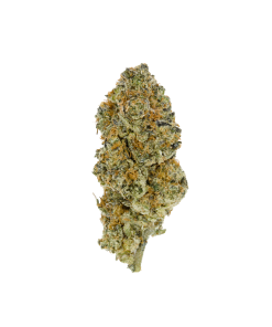 Buy Stardust OG Online
