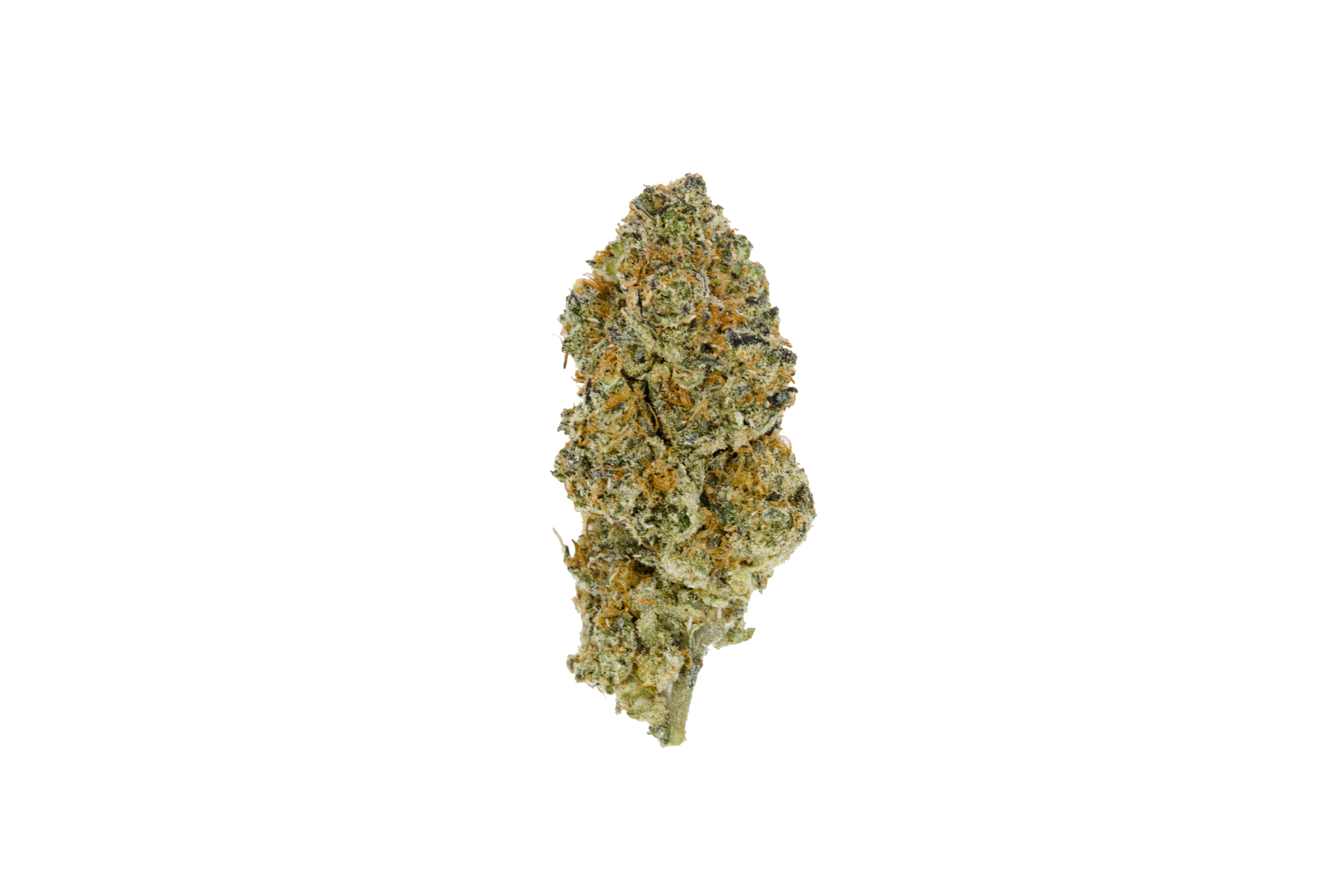 Stardust OG (Oz special) Indica anti-anxiety Stardust OG (Oz special) Indica anti-anxiety