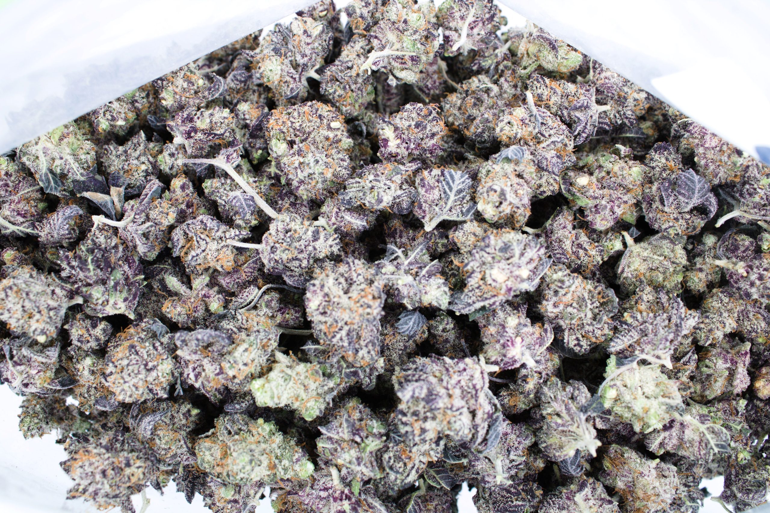 Grape Diesel Smalls Hybrid anti-anxiety Grape Diesel Smalls Hybrid anti-anxiety