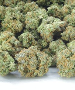 Buy Jack Herer Smalls Online
