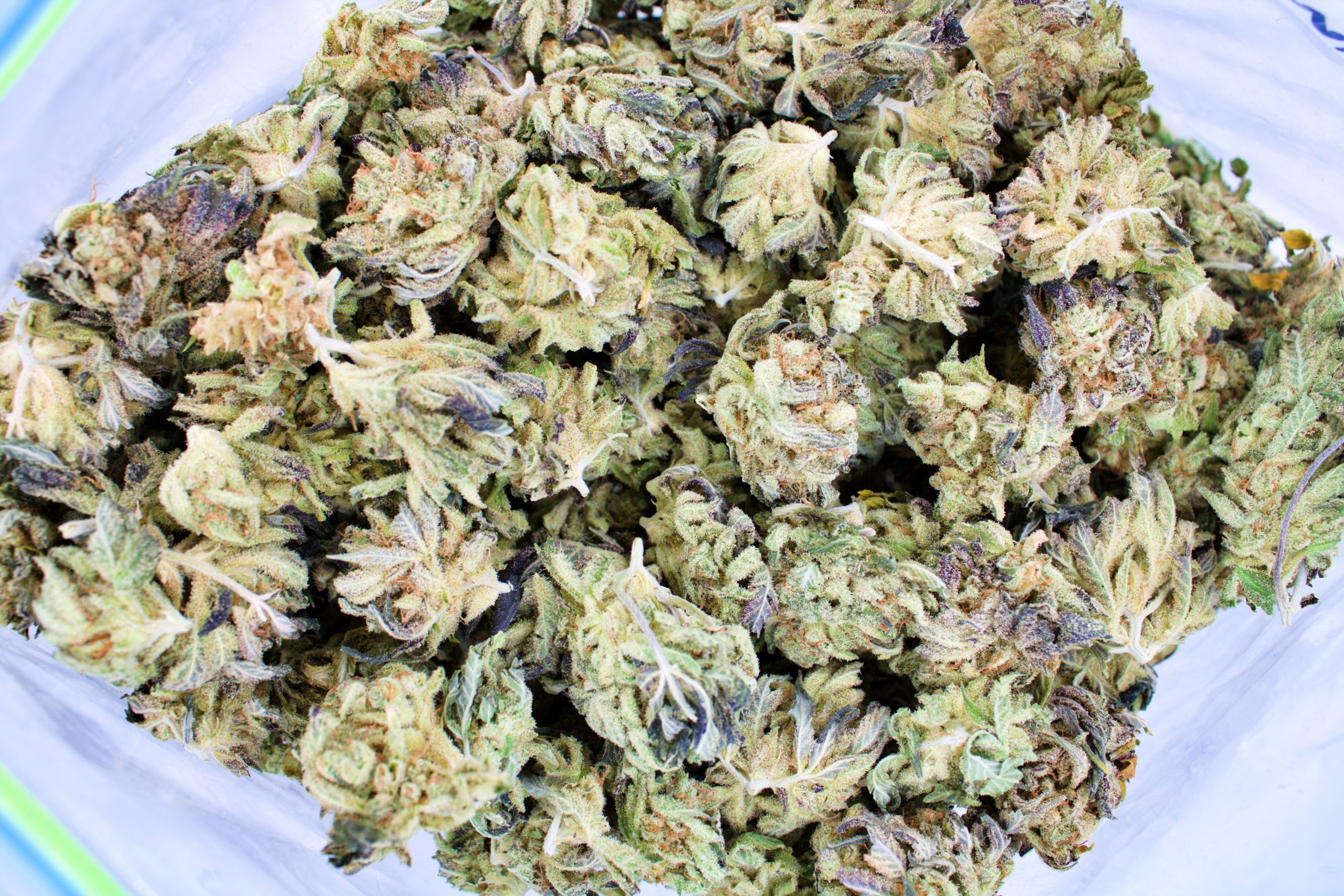 Lemon Haze Smalls Sativa anti-anxiety Lemon Haze Smalls Sativa anti-anxiety