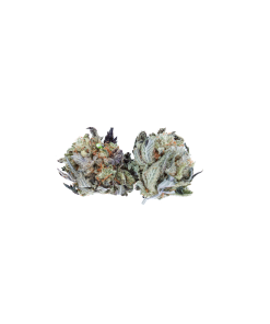 Buy Lemon Haze Smalls Online