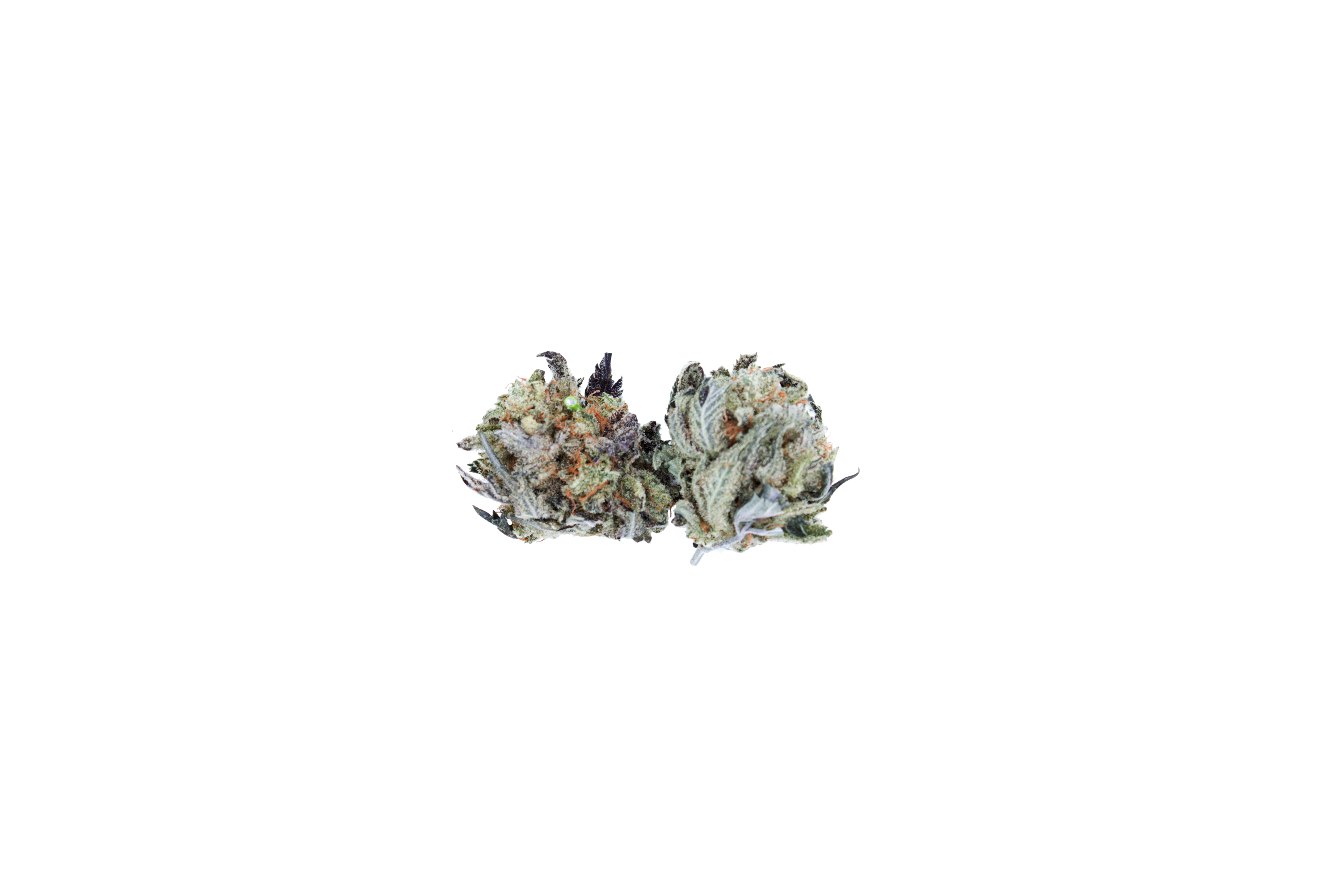 Lemon Haze Smalls Sativa anti-anxiety Lemon Haze Smalls Sativa anti-anxiety