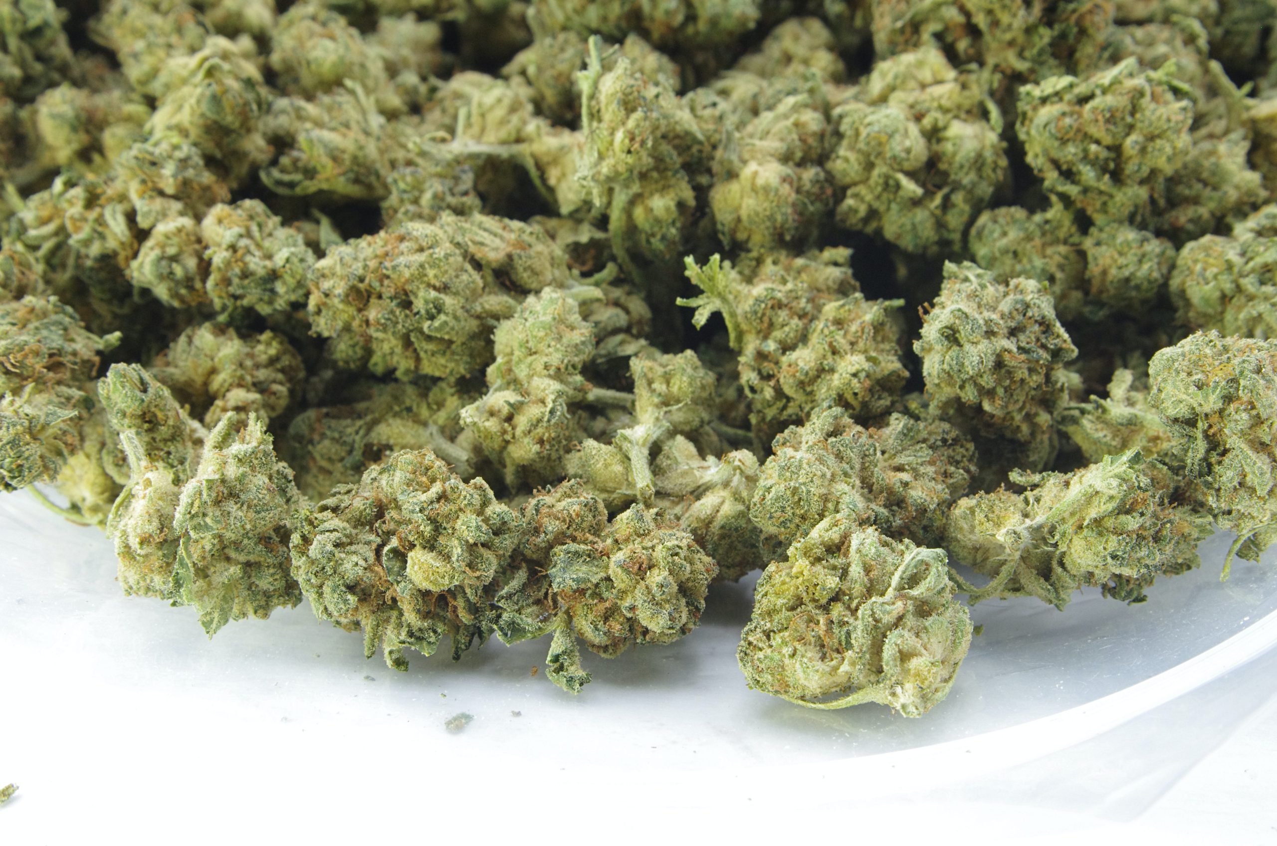 Runtz Smalls (Oz Special) Hybrid Runtz Smalls (Oz Special) Hybrid
