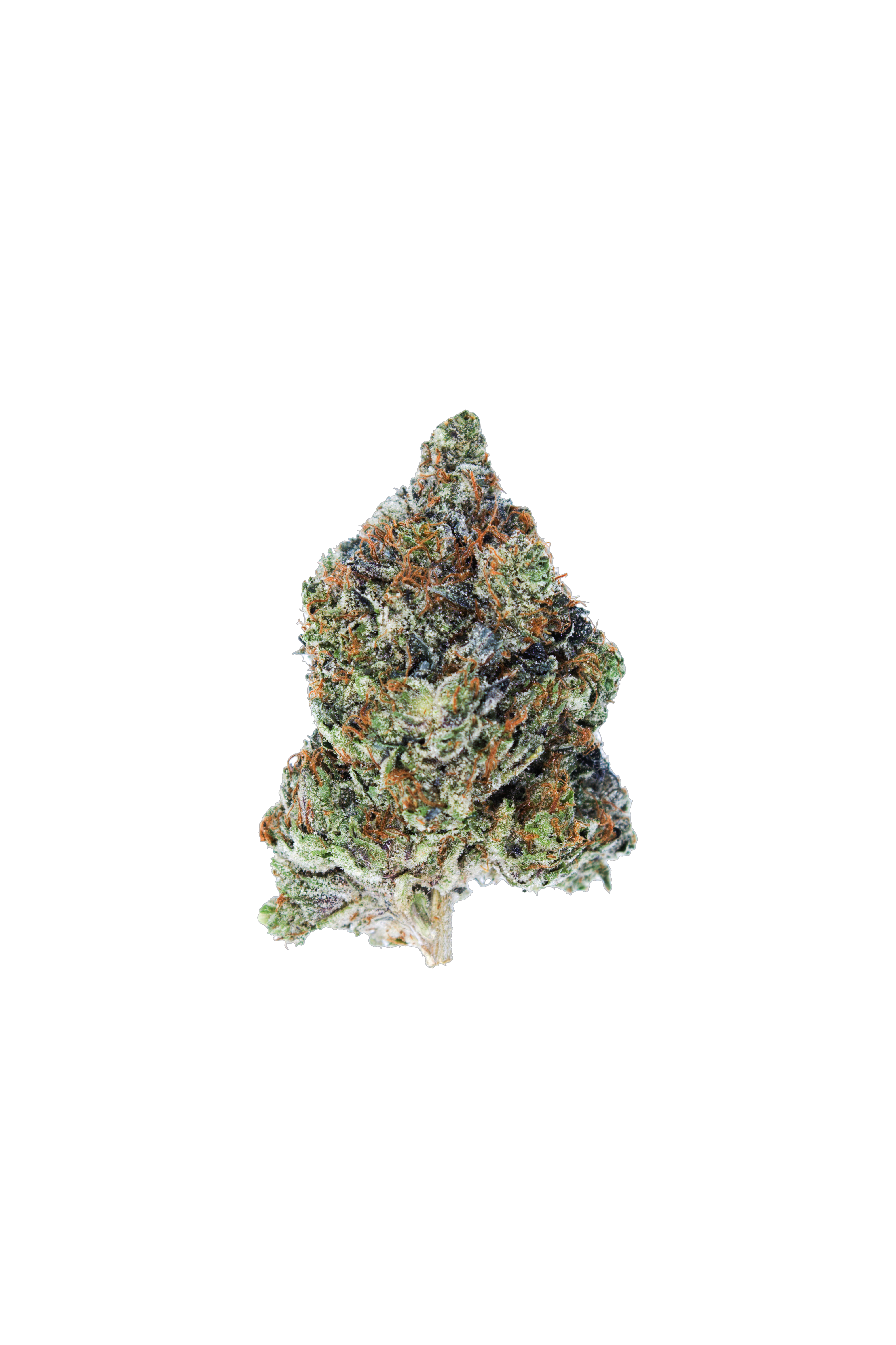 Gas Militia Death Bubba Indica anxiety Gas Militia Death Bubba Indica anxiety