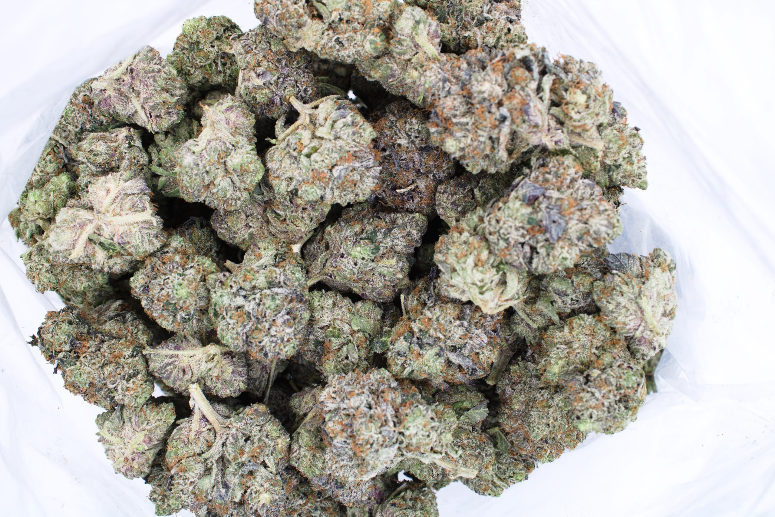 Gas Militia Death Bubba Indica anxiety Gas Militia Death Bubba Indica anxiety