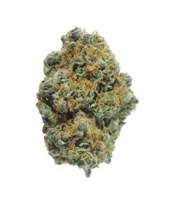 Buy Jack Herer Smalls Online