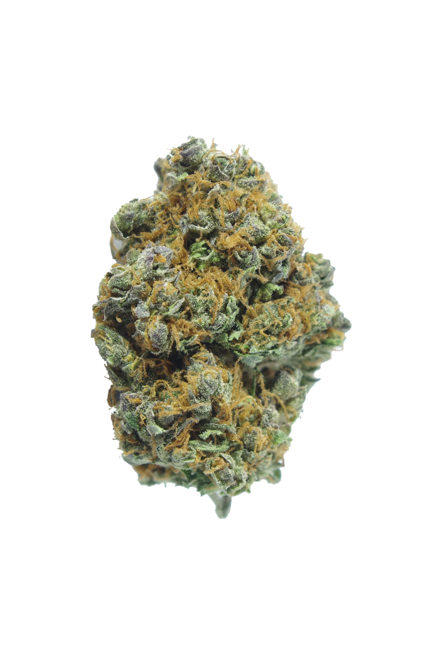 Jack Herer Smalls (Oz Special) Sativa Jack Herer Smalls (Oz Special) Sativa