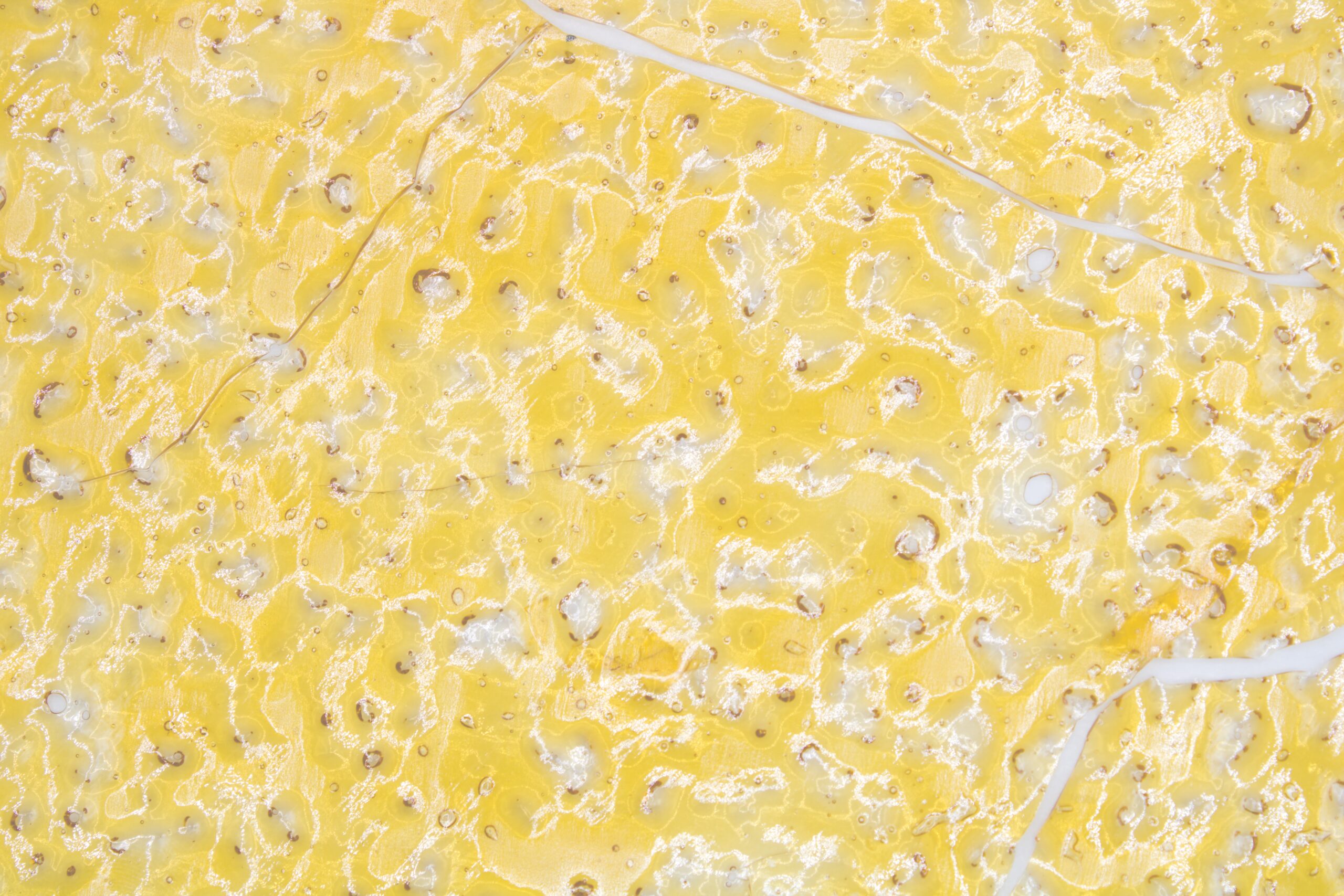 Blue Gelato Shatter Shatter Blue Gelato Shatter Shatter