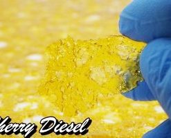 Buy Terpstar Shatter Cherry Diesel Online