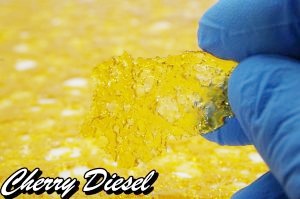 Terpstar Shatter – Cherry Diesel Shatter Terpstar Shatter – Cherry Diesel Shatter