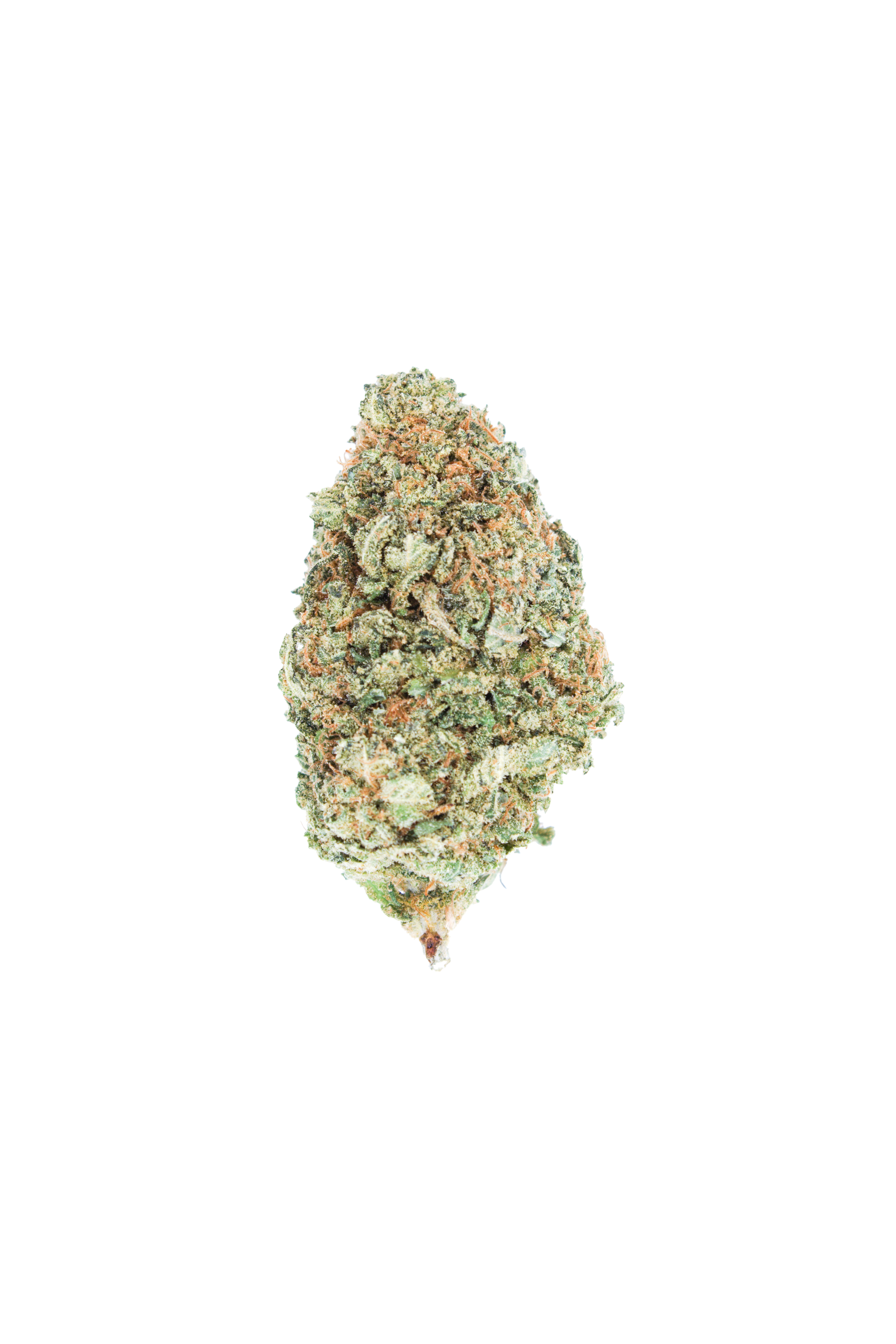 Citrus Haze Hybrid anti-anxiety Citrus Haze Hybrid anti-anxiety