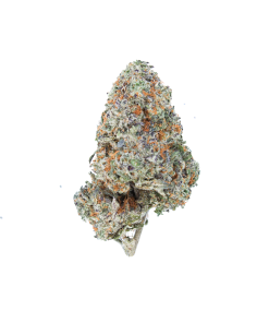 Buy Van Island Exotics Cream Mandarin Online