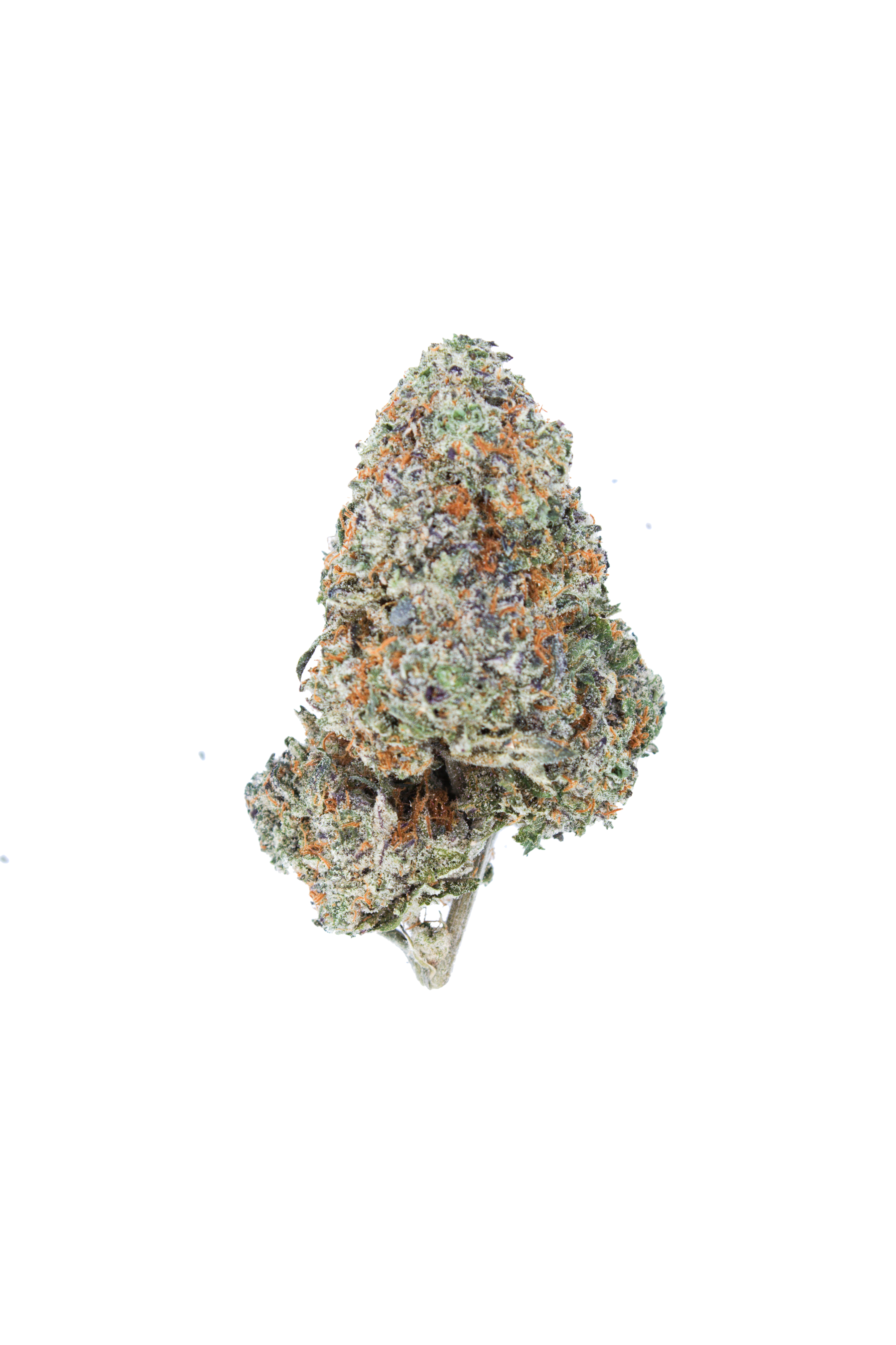 Van Island Exotics Cream Mandarin Indica anti-anxiety Van Island Exotics Cream Mandarin Indica anti-anxiety