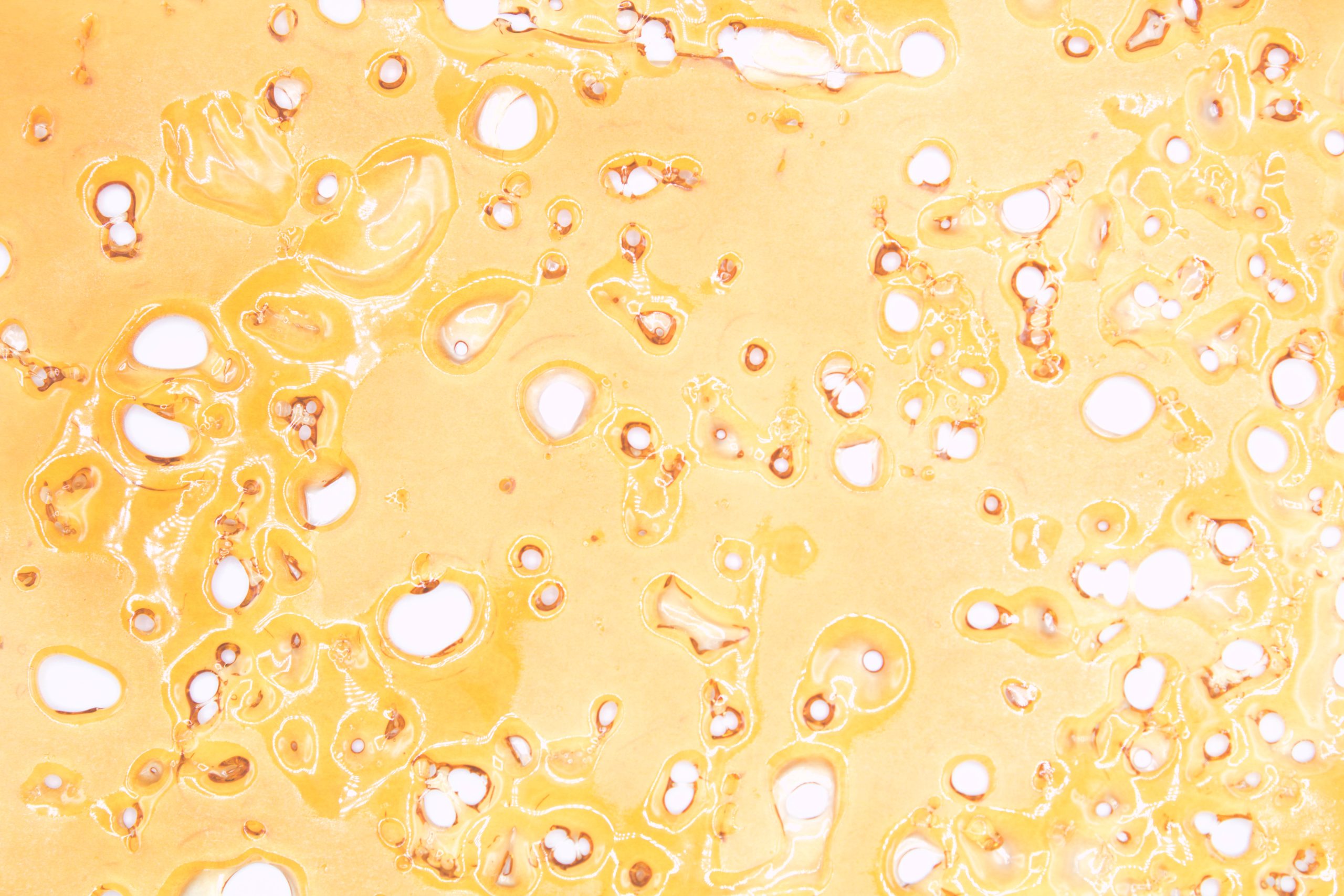 Nuken Shatter Shatter Nuken Shatter Shatter