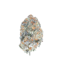 Buy Raspberry Kush Online