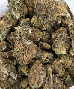 Buy Space Dawg Online