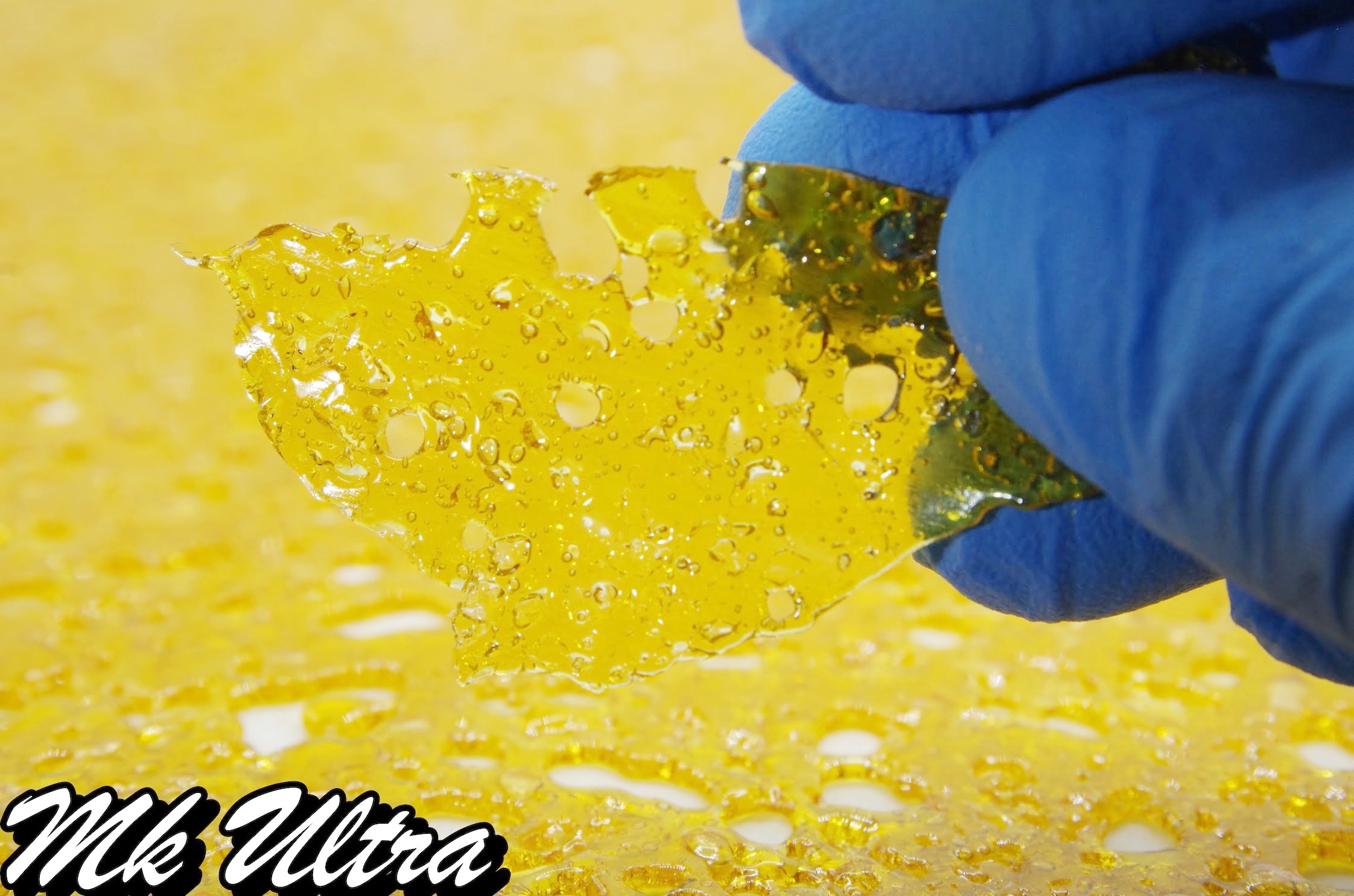 Terpstar Shatter – MKU Shatter Terpstar Shatter – MKU Shatter