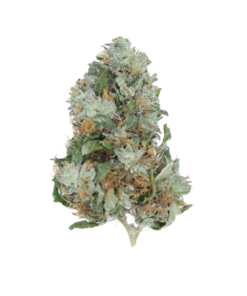 buy Bubba Kush online
