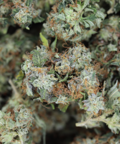 buy Bubba Kush online