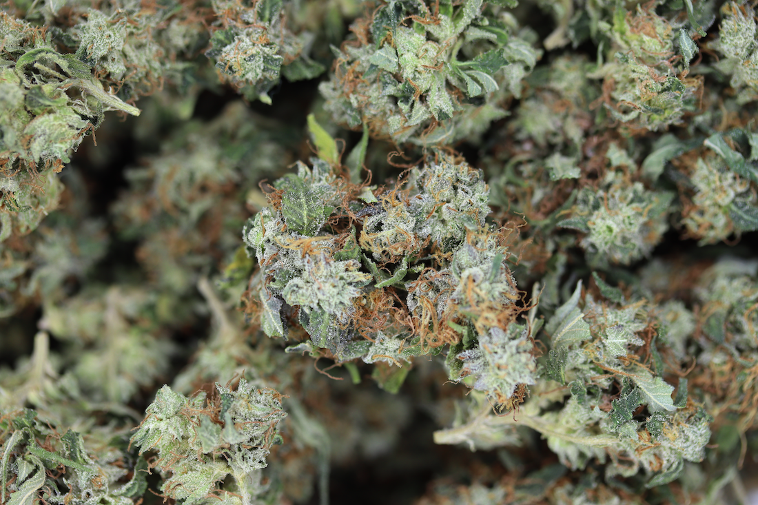 Bubba Kush (1/2lb) Bulk bubba kush Bubba Kush (1/2lb) Bulk bubba kush