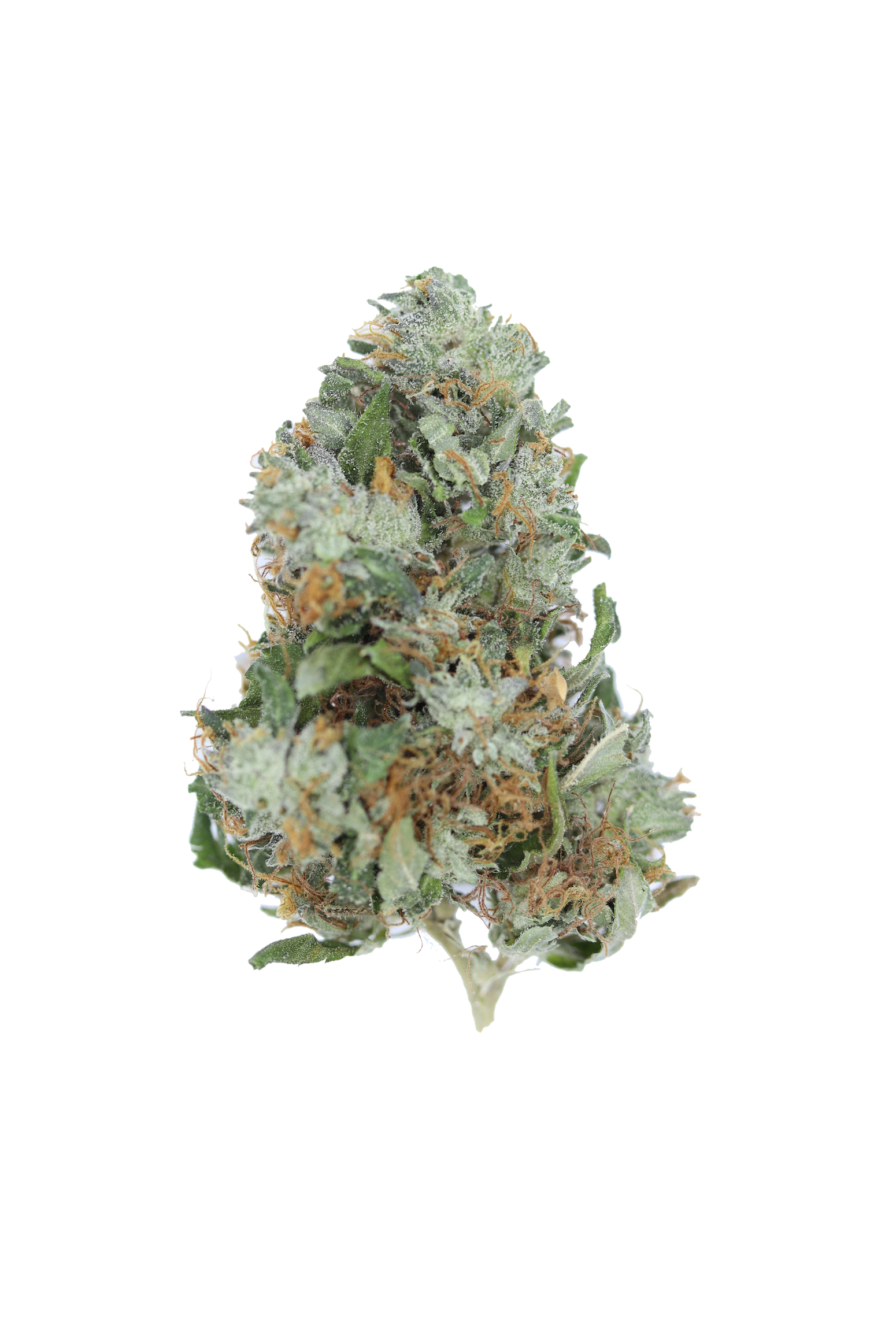 Bubba Kush (1/2lb) Bulk bubba kush Bubba Kush (1/2lb) Bulk bubba kush