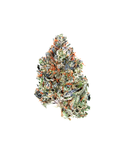 Buy Cali Orange Online