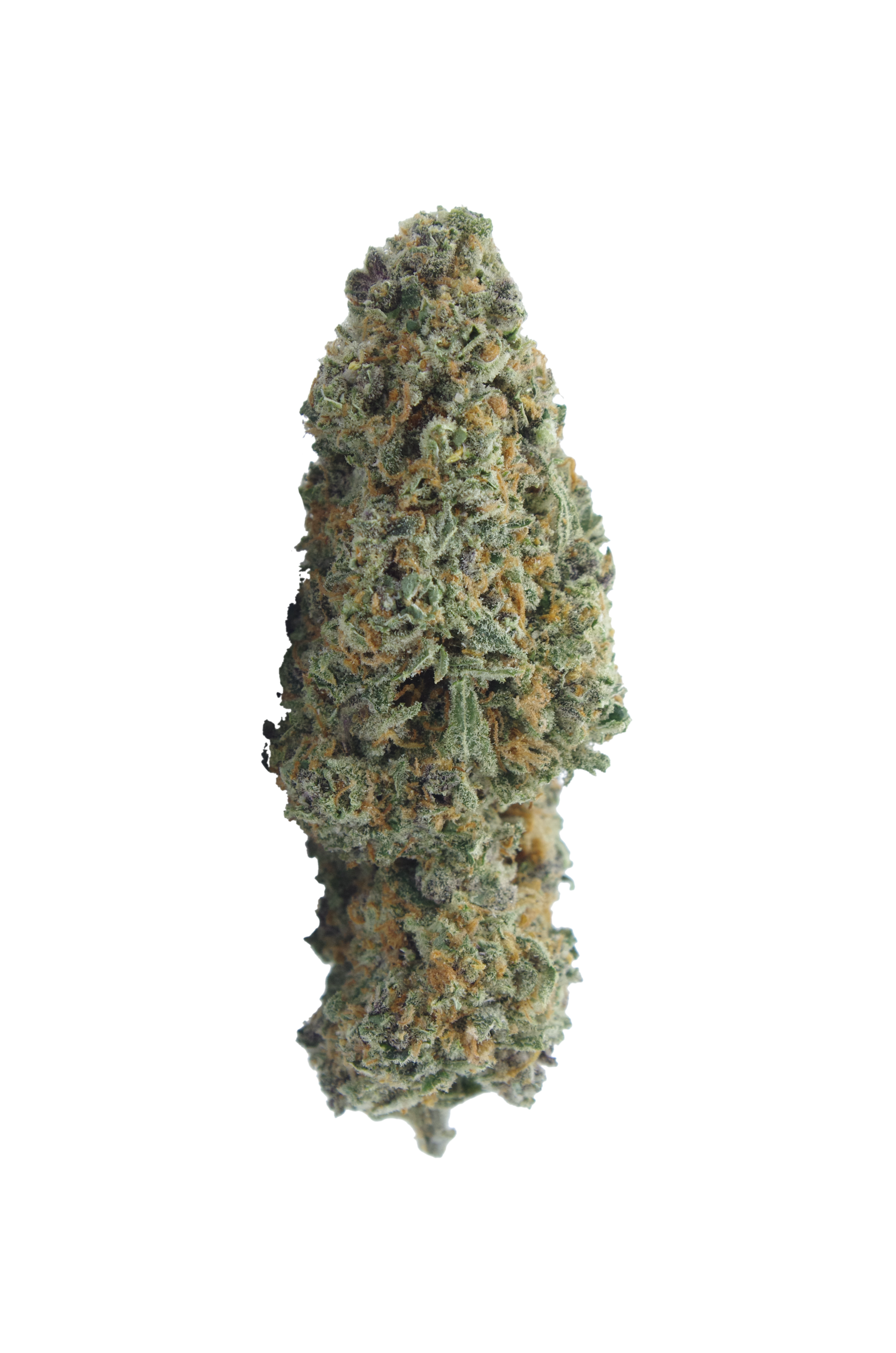 Pink Grapefruit All Strains Pink Grapefruit All Strains